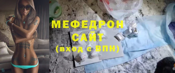 индика Ладушкин