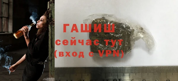индика Ладушкин