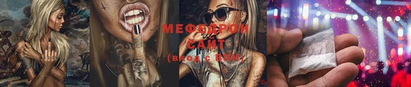 индика Ладушкин