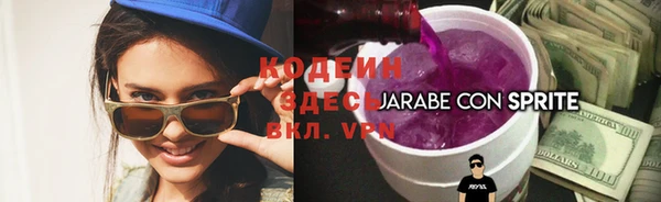 индика Ладушкин