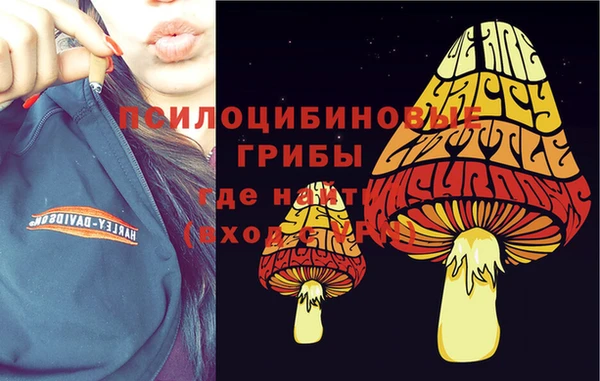 индика Ладушкин
