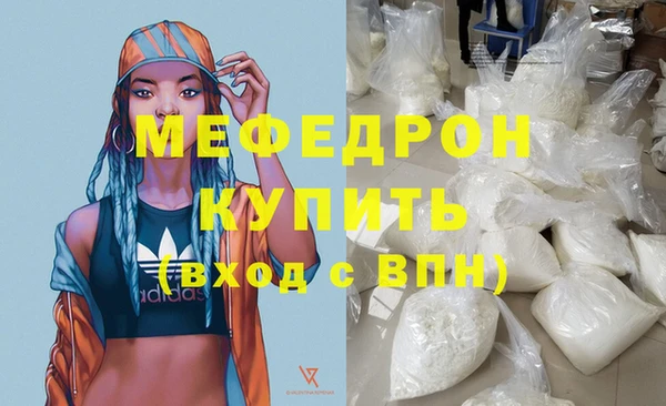 индика Ладушкин