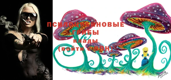 индика Ладушкин