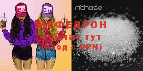 индика Ладушкин