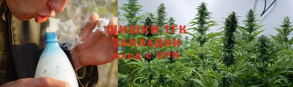 индика Ладушкин