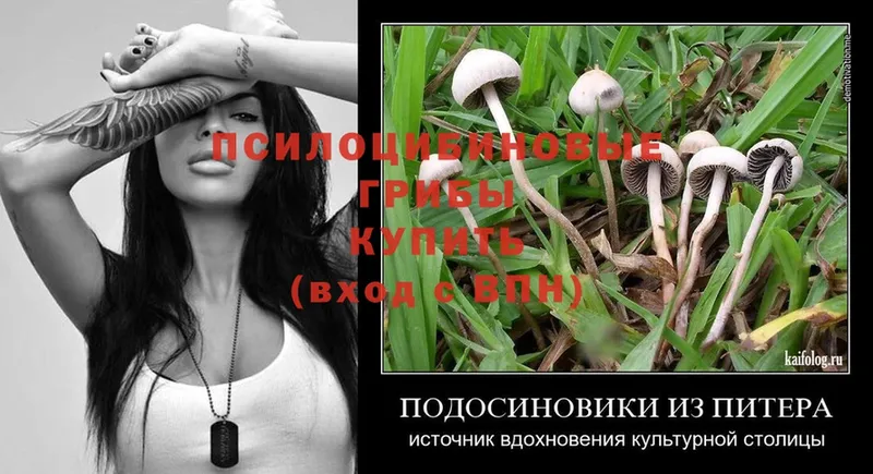 где продают наркотики  гидра как зайти  Галлюциногенные грибы Magic Shrooms  Орск 